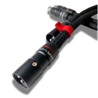 InterconnectXLR4