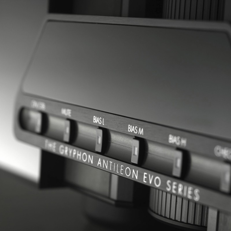 gryphon audio Antileon EVO Mono -800-x-800 - 3 - dwa kanaly