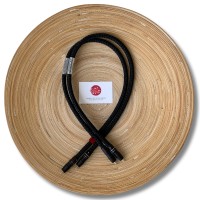 InterconnectRCA4