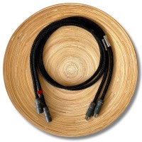 InterconnectXLR10