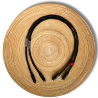 InterconnectRCA4