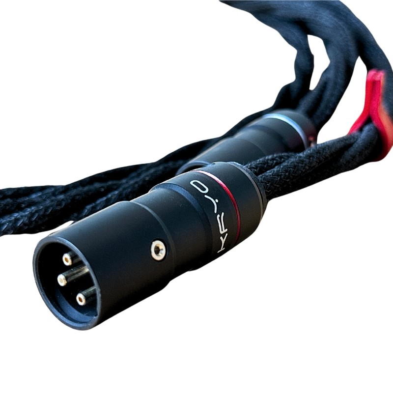 InterconnectXLR4