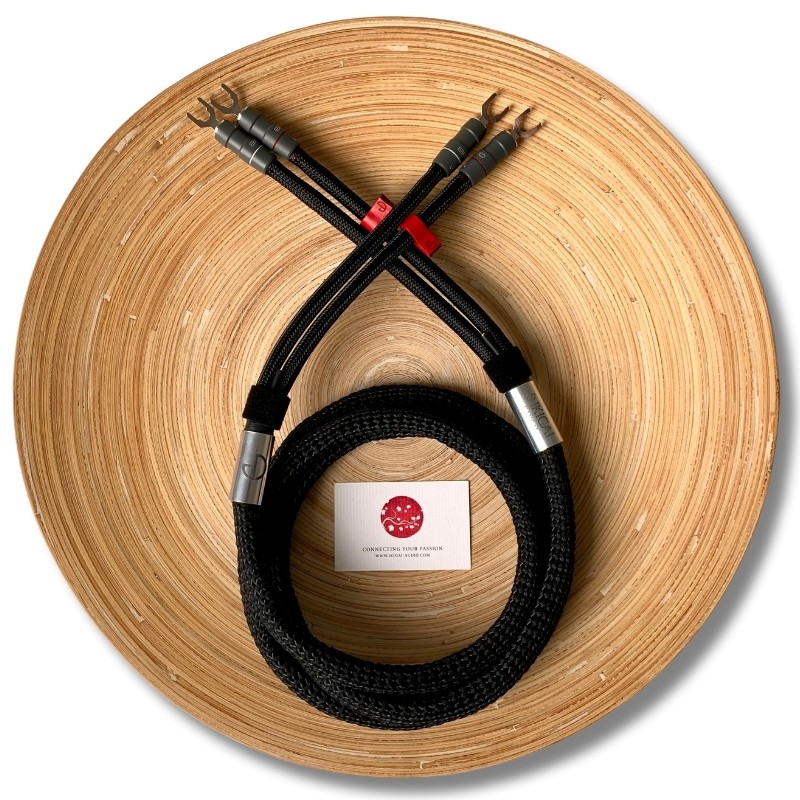 Speaker8