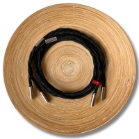 InterconnectRCA6