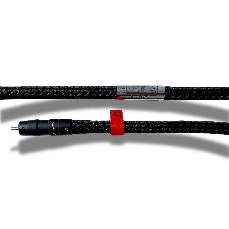 InterconnectRCA2