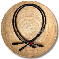 InterconnectRCA2