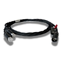 InterconnectXLR8